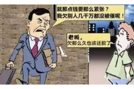 咸丰讨债公司